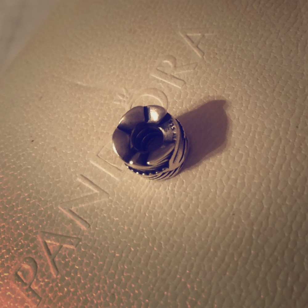Pandora charm